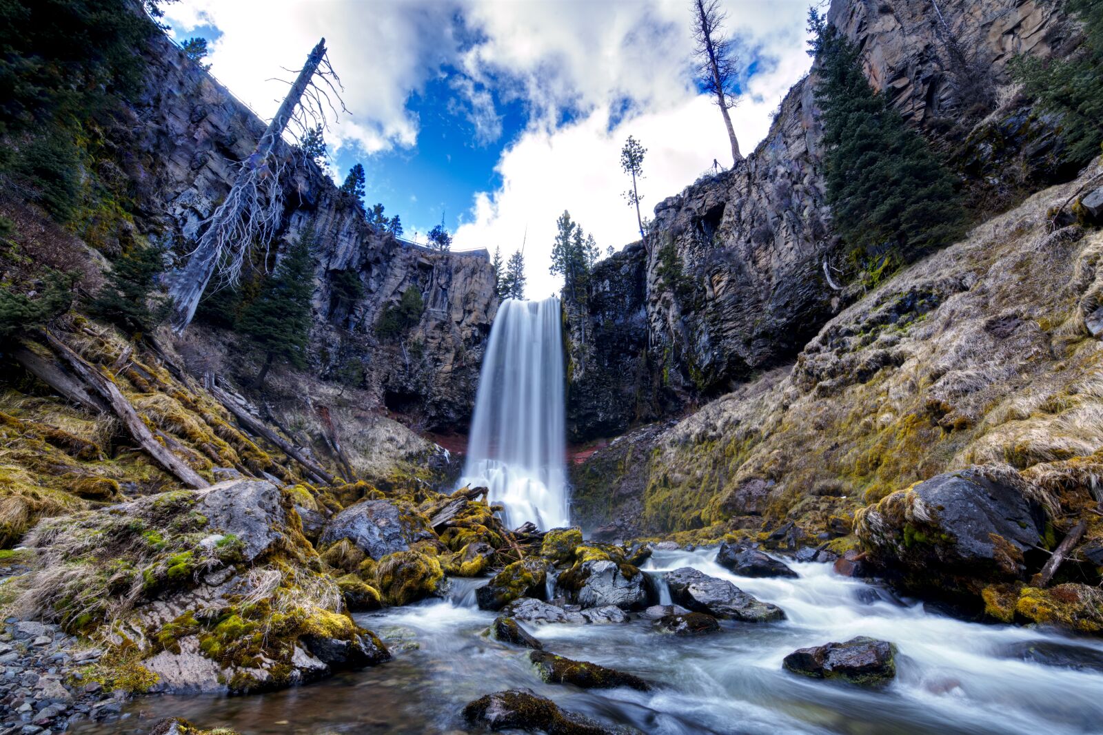Nikon D850 sample photo. Tumalo falls, central oregon photography