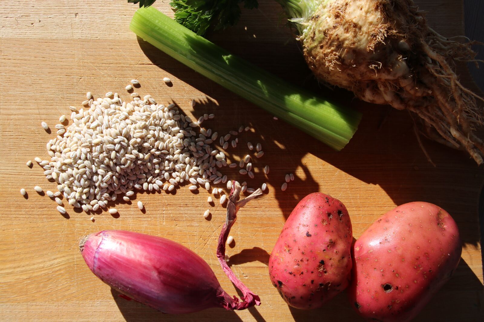 Canon EOS 750D (EOS Rebel T6i / EOS Kiss X8i) sample photo. Gerst soup, ingredients, barley photography