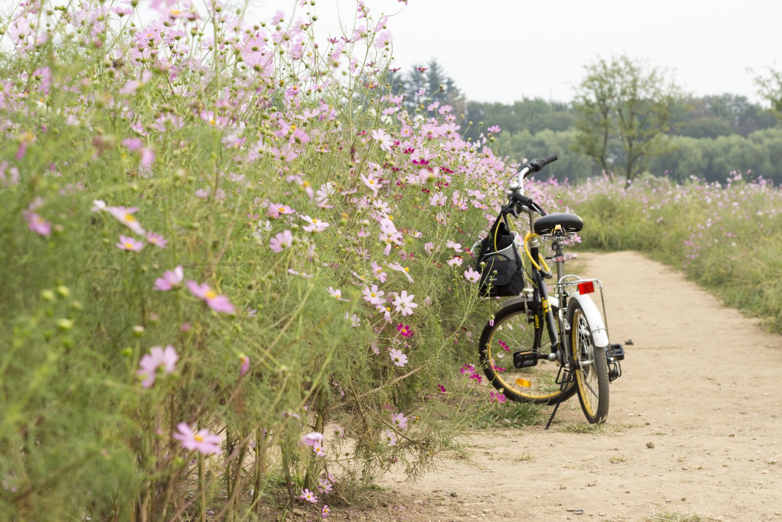 Canon EOS 700D (EOS Rebel T5i / EOS Kiss X7i) + Canon EF 50mm F1.8 STM sample photo. Bike, gil, travel photography