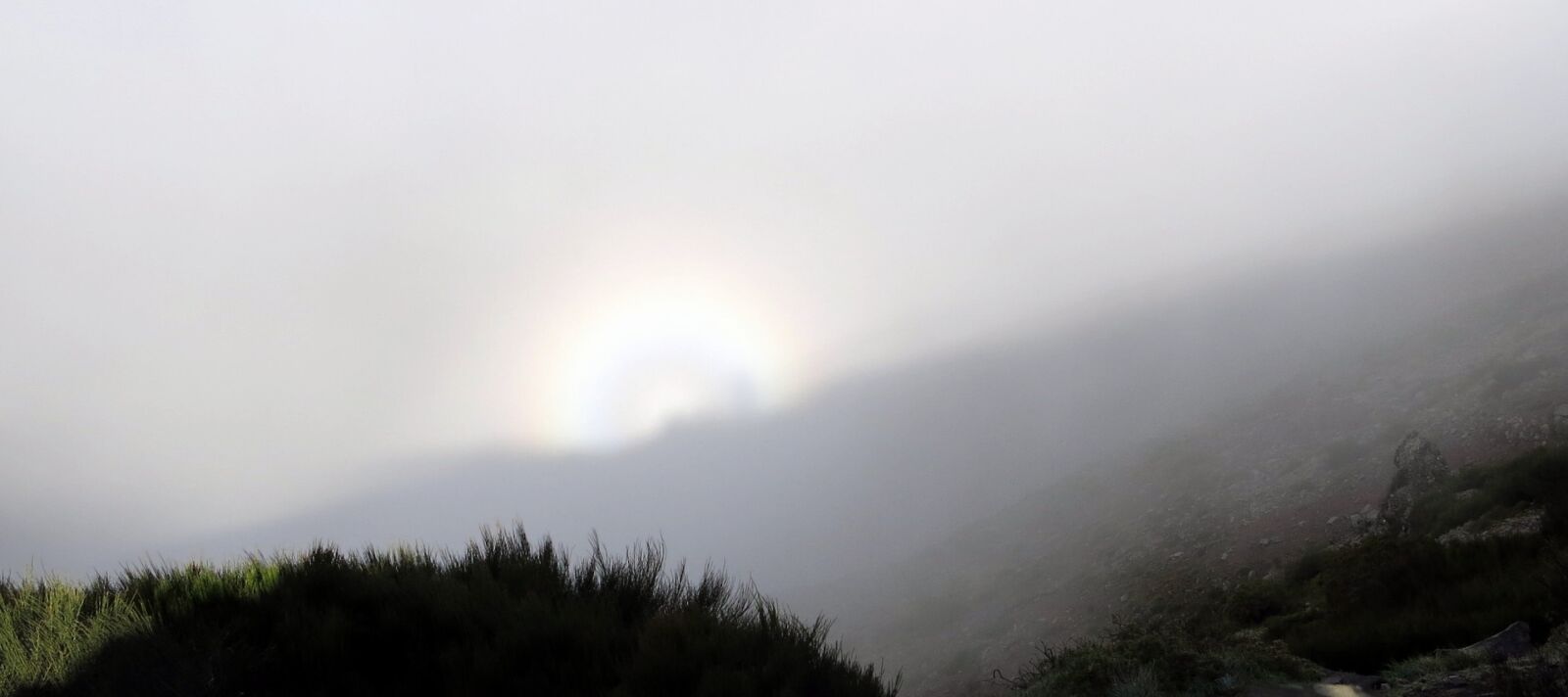 Canon PowerShot G15 sample photo. Brocken spectre, fog, natural photography