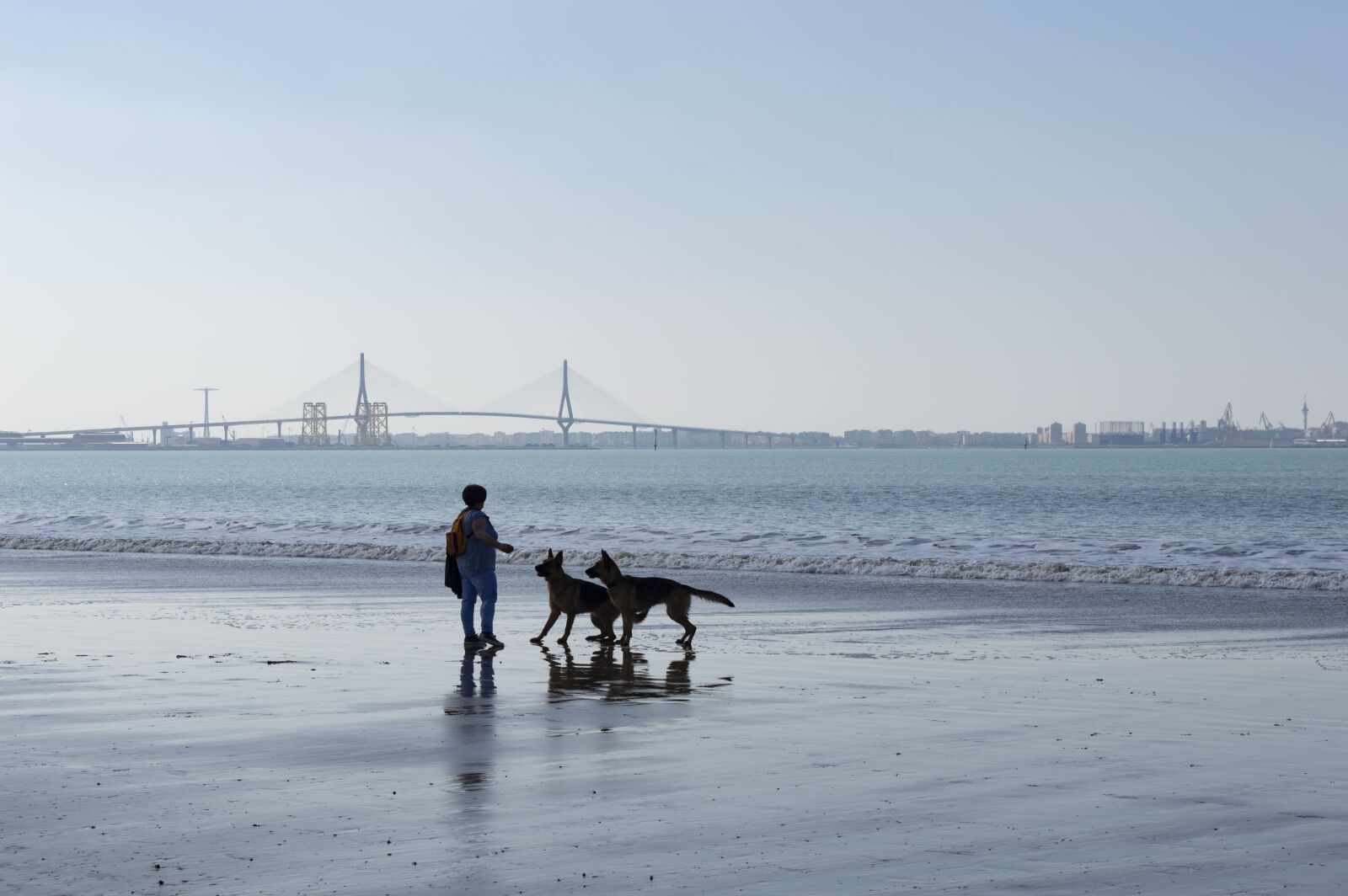 Nikon D3200 sample photo. Beach, dog, sand photography
