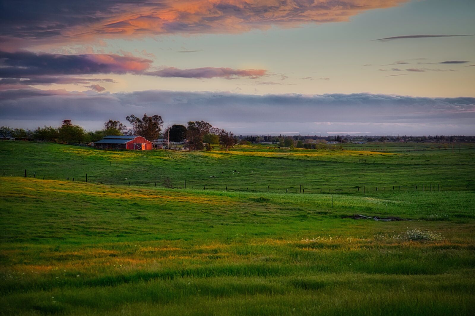 Canon EF 24-105mm F4L IS USM sample photo. Landscape, grass, nature photography