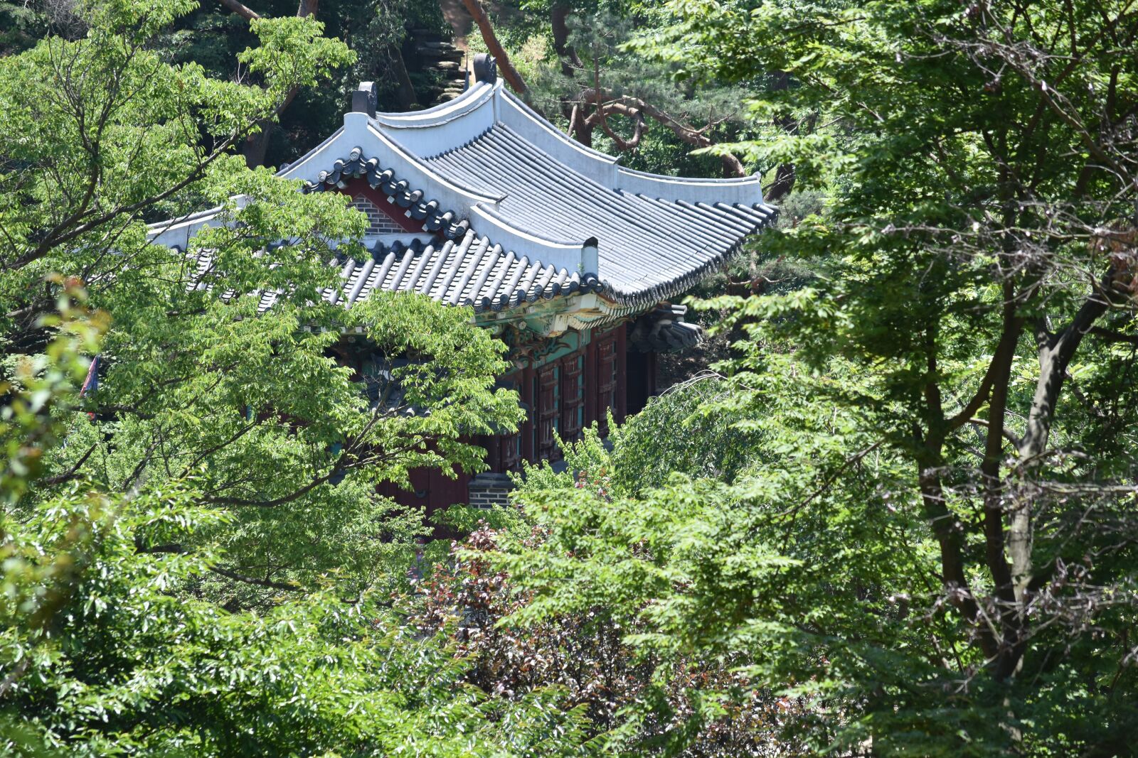Nikon D7200 sample photo. Ganghwado, mani estate, hanok photography