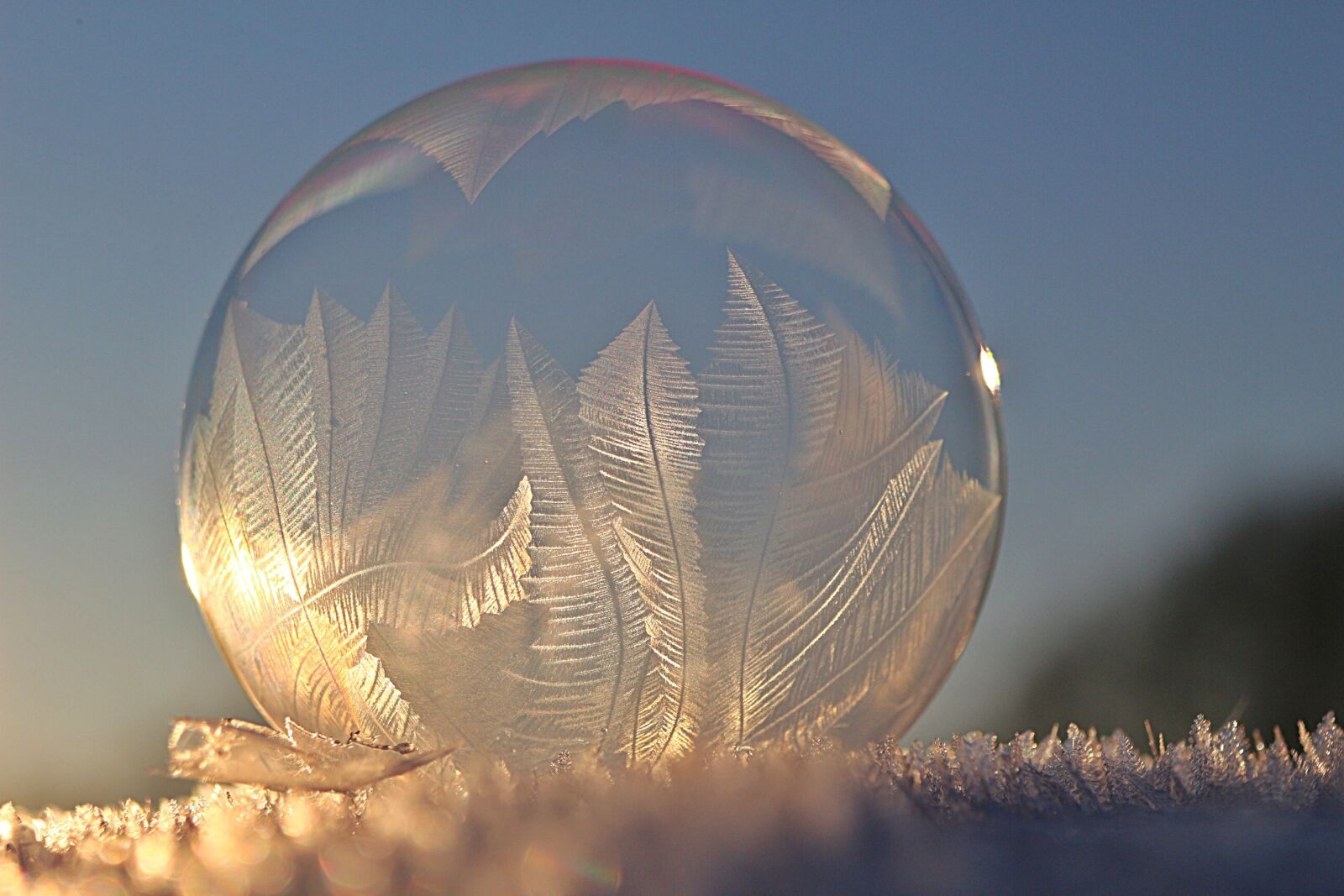 Canon EOS 100D (EOS Rebel SL1 / EOS Kiss X7) sample photo. Soap bubble, frost bubble photography