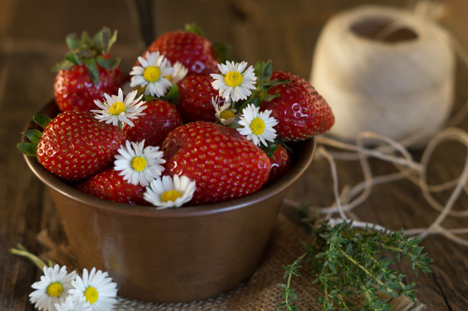Sony SLT-A58 + Sony DT 50mm F1.8 SAM sample photo. Strawberries, daisies, bellis perennis photography