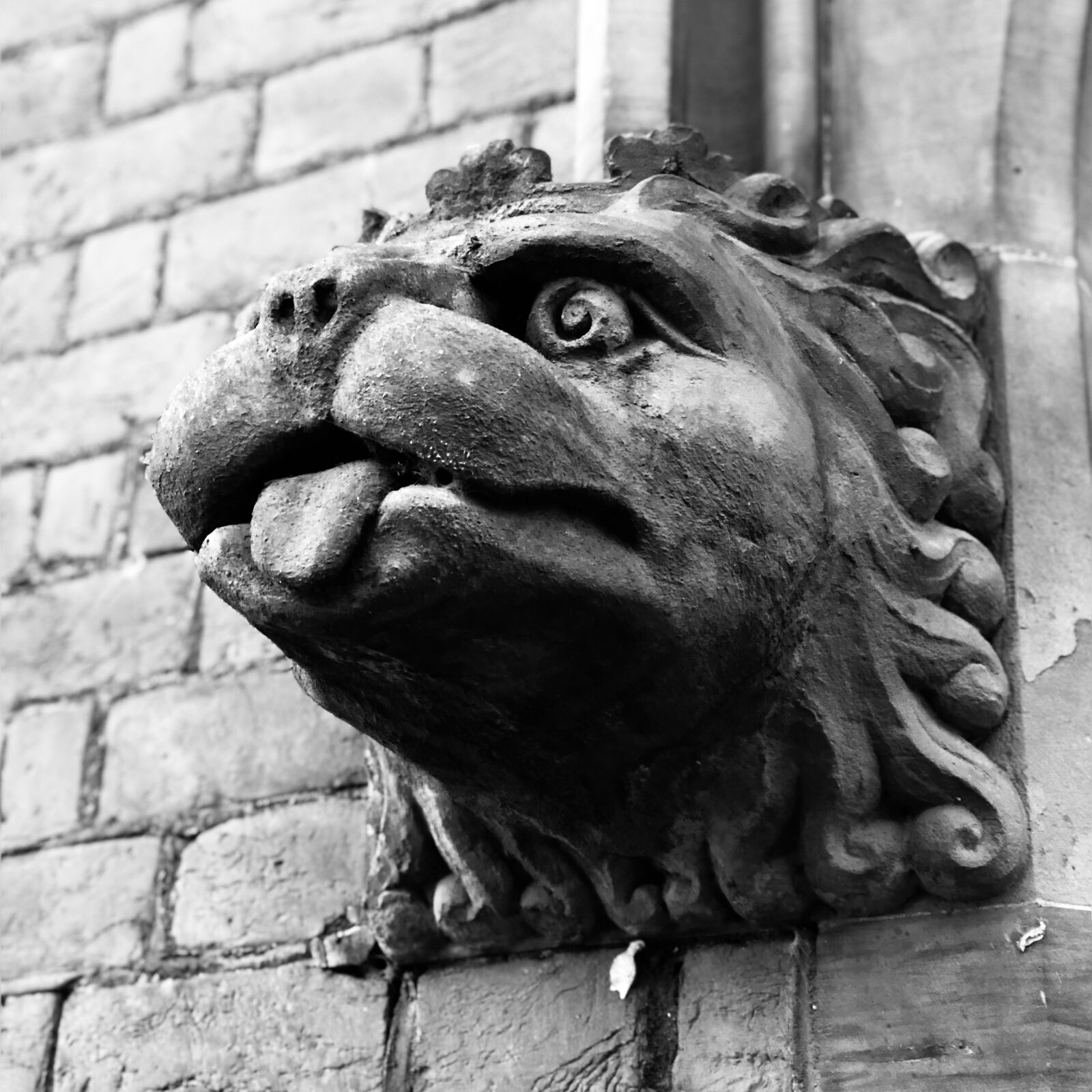 Apple iPhone 8 Plus sample photo. The gargoyle, lion, stone photography