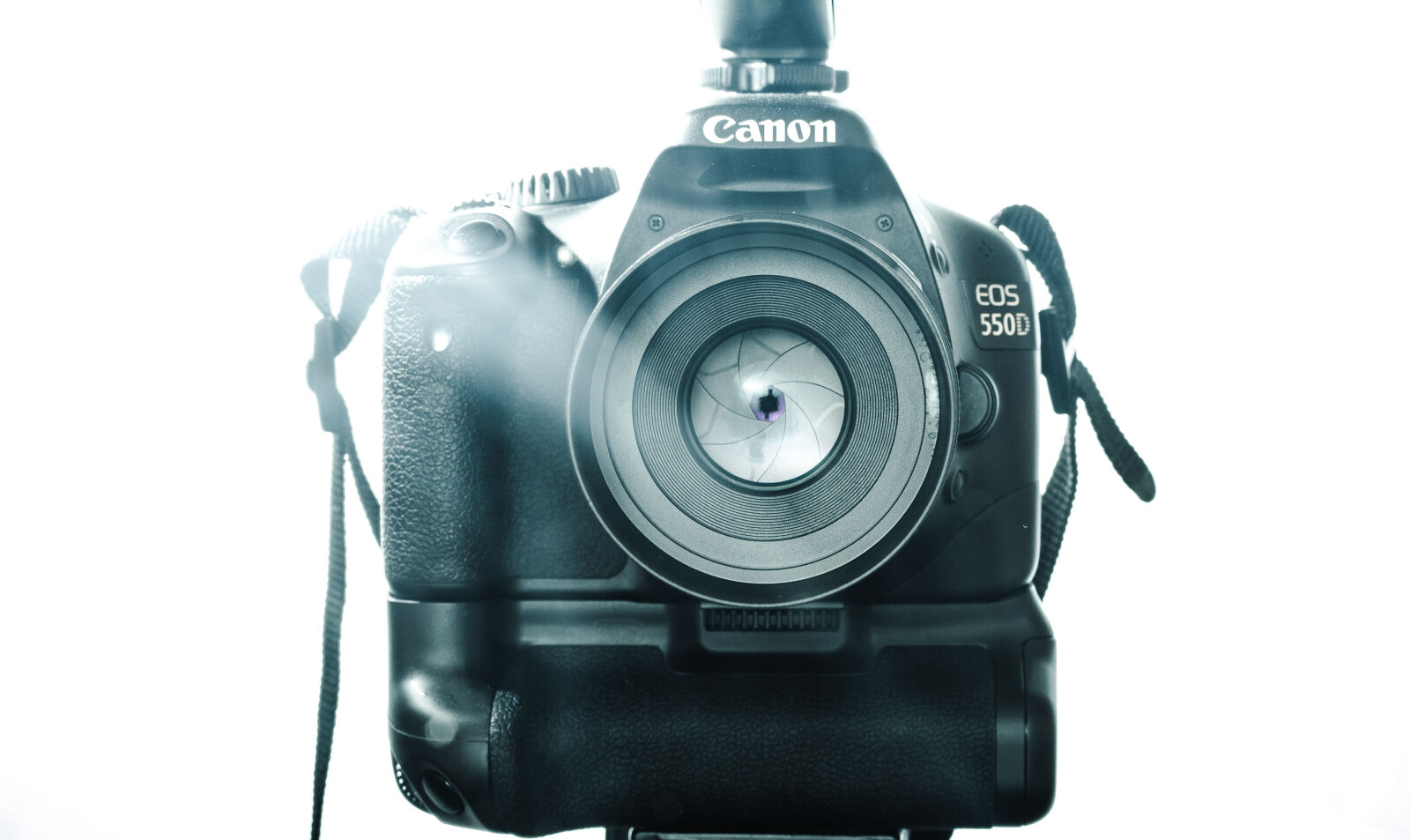 Canon EOS 550D (EOS Rebel T2i / EOS Kiss X4) sample photo. 50mm, 550d, canon, eastlandtunes photography