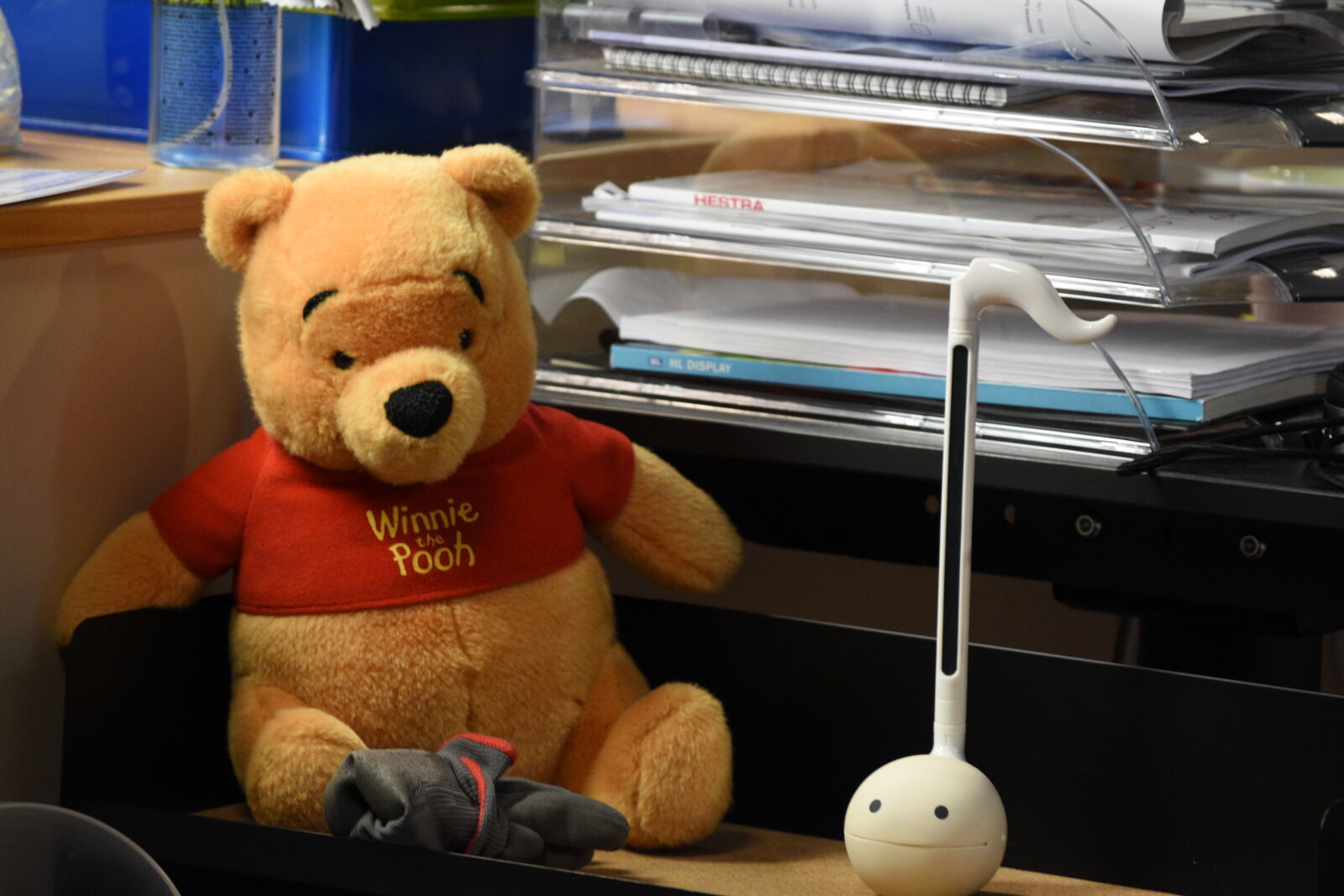 Nikon D5500 sample photo. The pooh of the photography