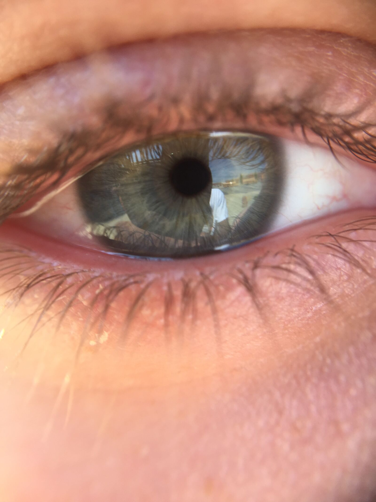 iPhone 6 back camera 4.15mm f/2.2 sample photo. Eye, blue, green photography