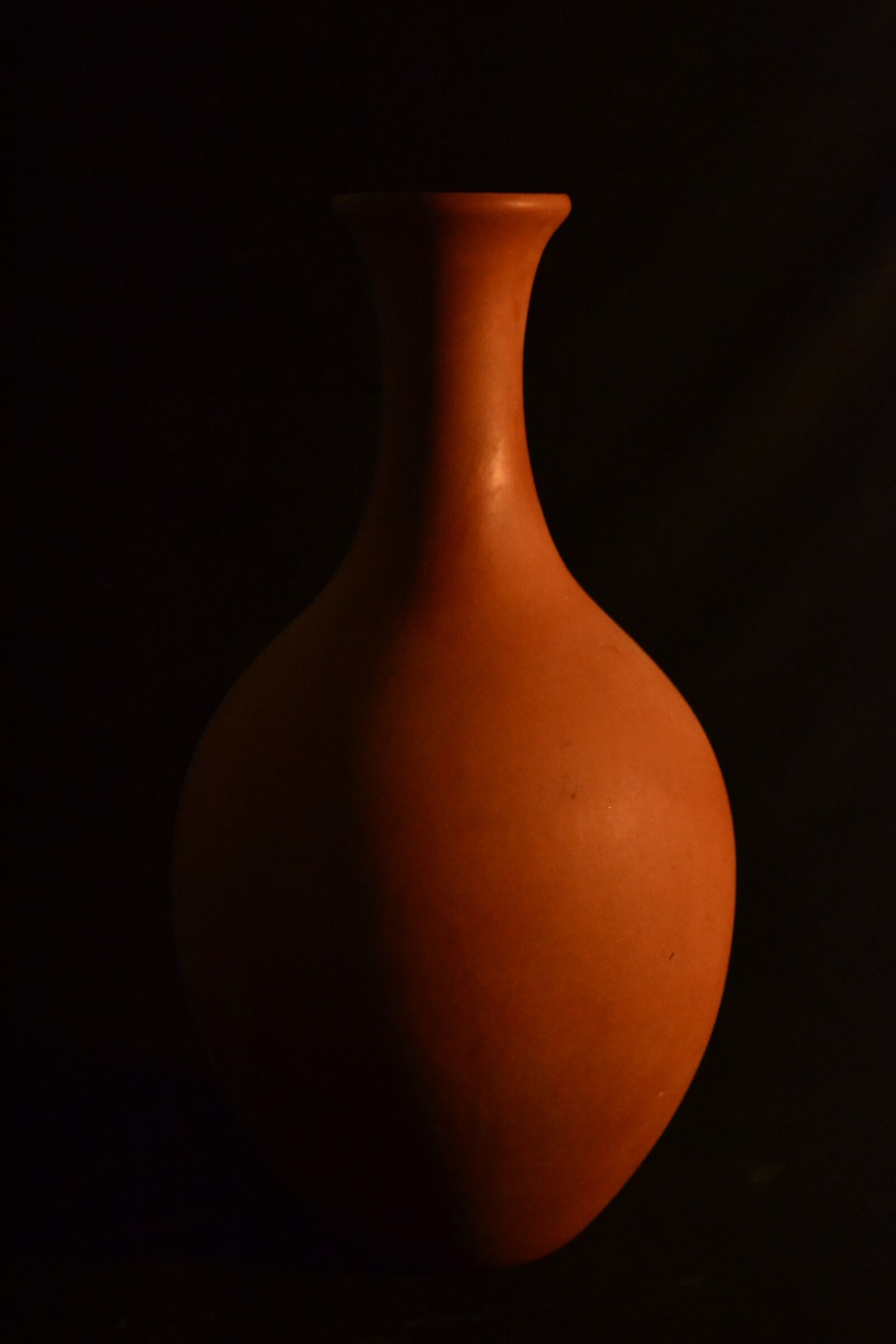 Nikon D3100 sample photo. Shadow, pot, static photography