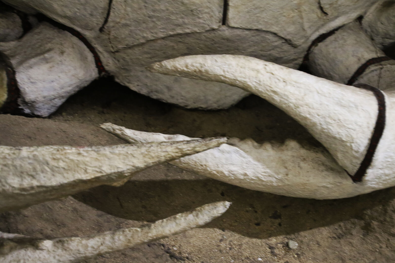Canon EOS 7D Mark II sample photo. Animal, concrete, crap, dangerous photography