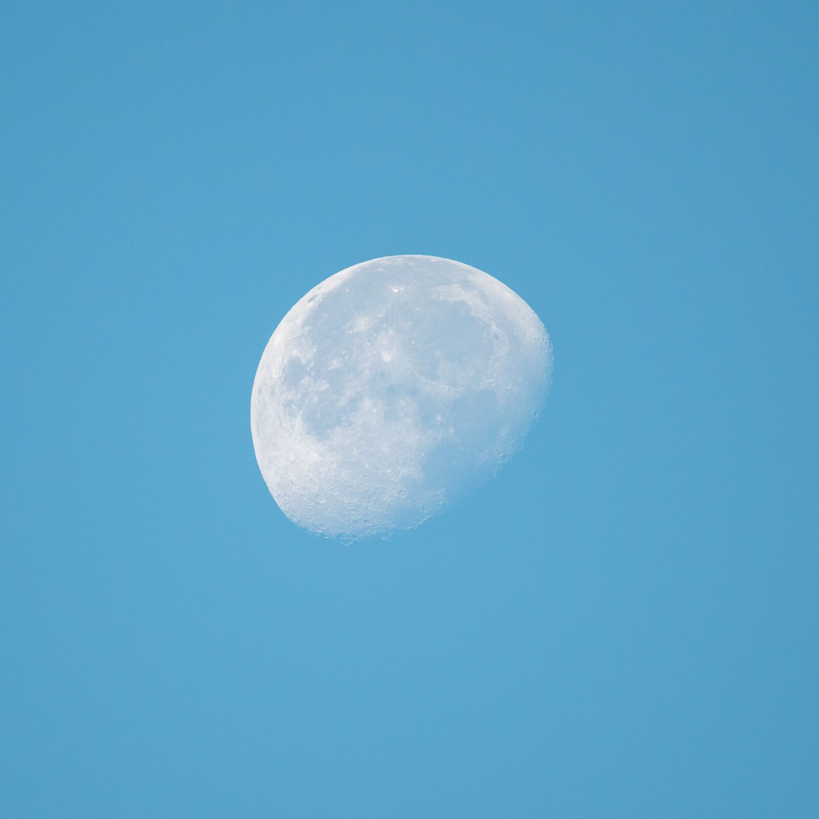 Nikon D850 sample photo. Moon, lunar, daybreak photography