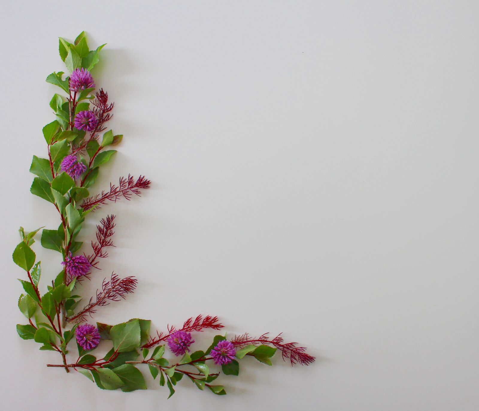 Canon EOS 700D (EOS Rebel T5i / EOS Kiss X7i) sample photo. Klee, clover flower, flowers photography