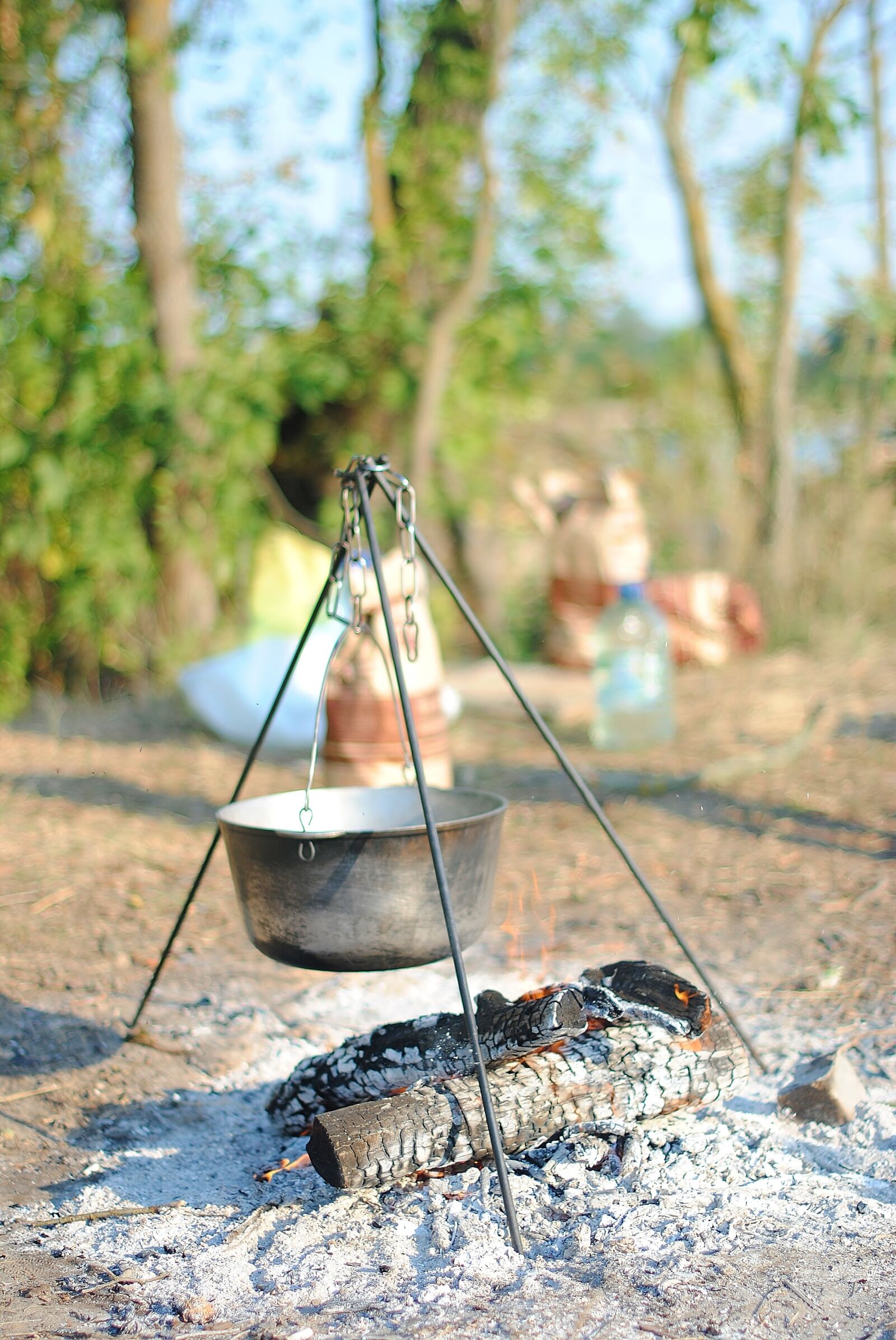 Nikon D3000 sample photo. Vacation, cook, nature photography