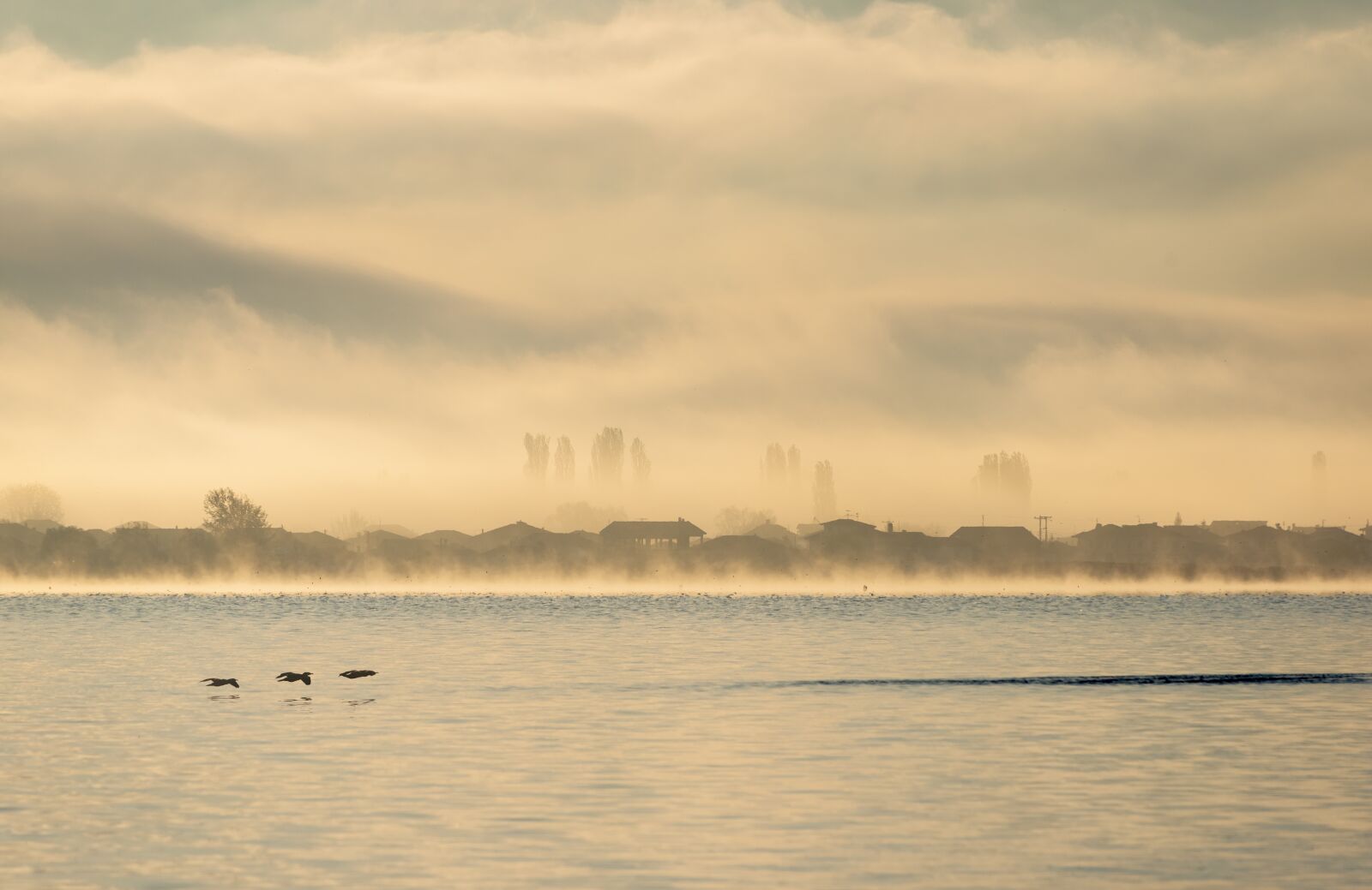 Nikon D750 sample photo. Lake, mist, fog photography
