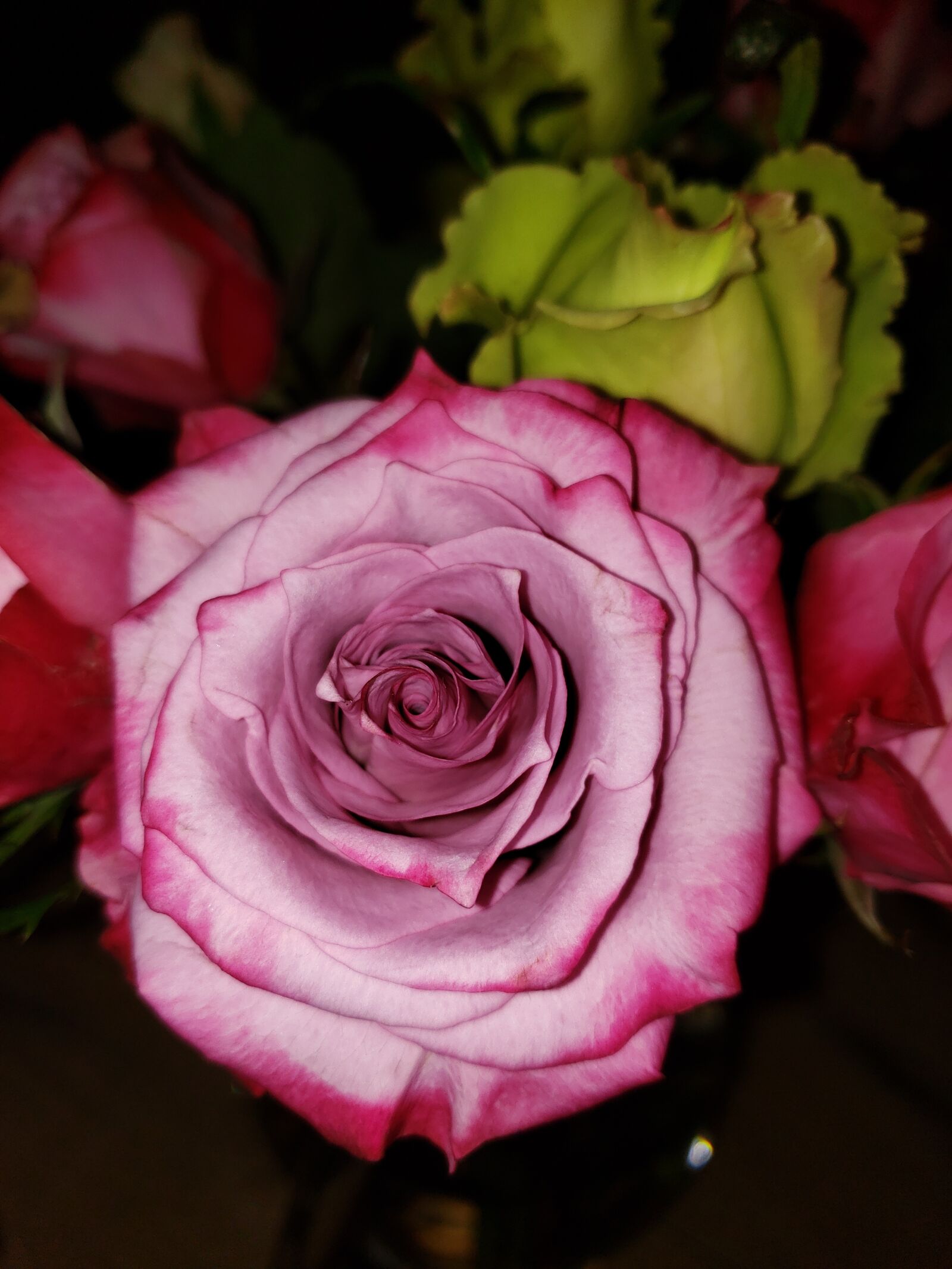 Samsung Galaxy Note9 sample photo. Rose, mauve, pink photography