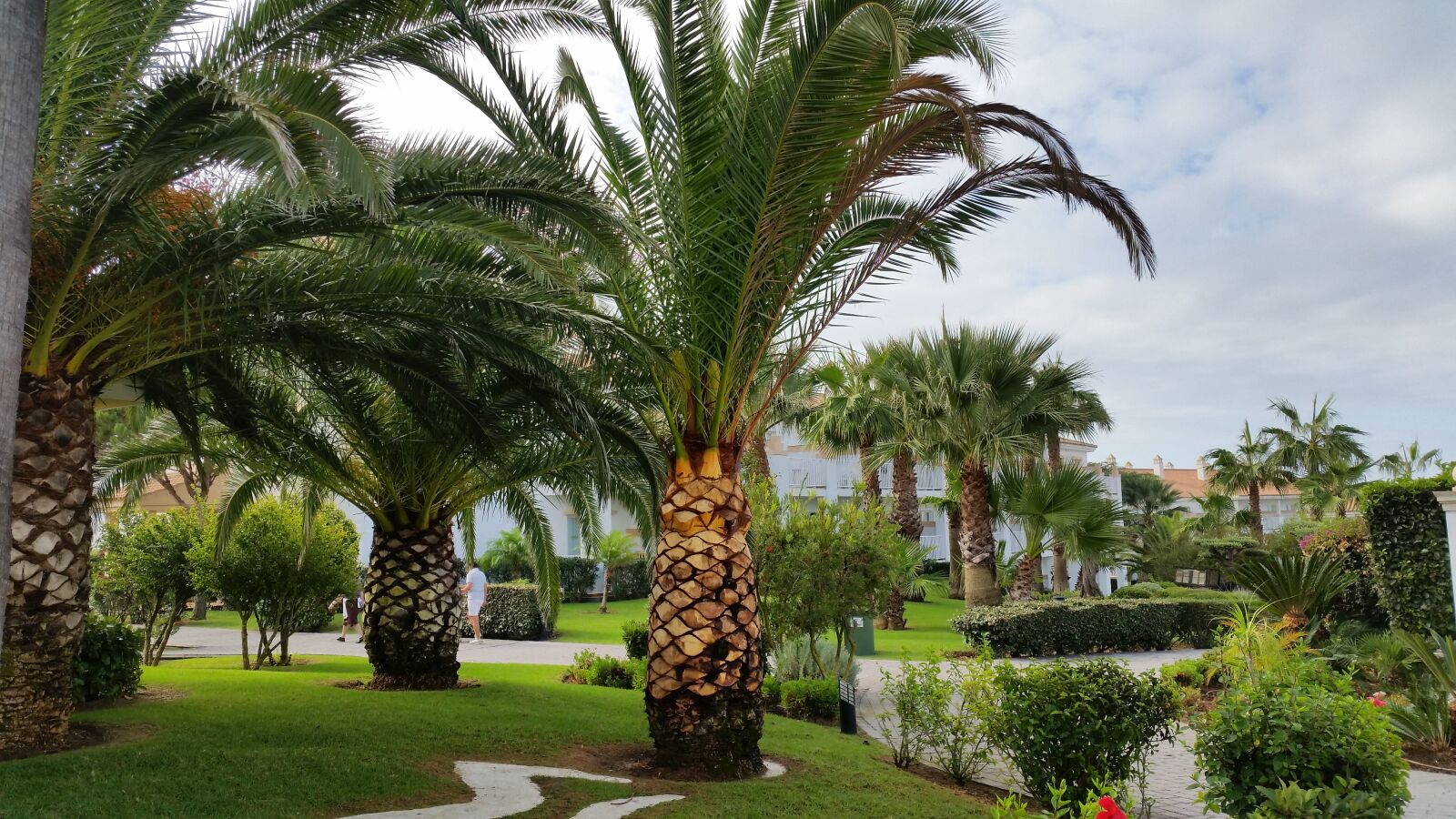 Samsung Galaxy S5 sample photo. Palm trees, hotel complex photography