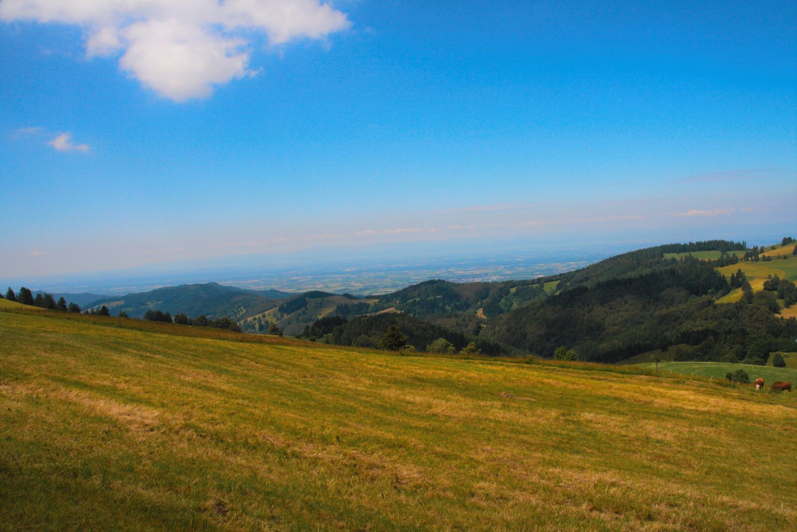 Canon EOS 400D (EOS Digital Rebel XTi / EOS Kiss Digital X) sample photo. Blue sky, mountains, meadow photography