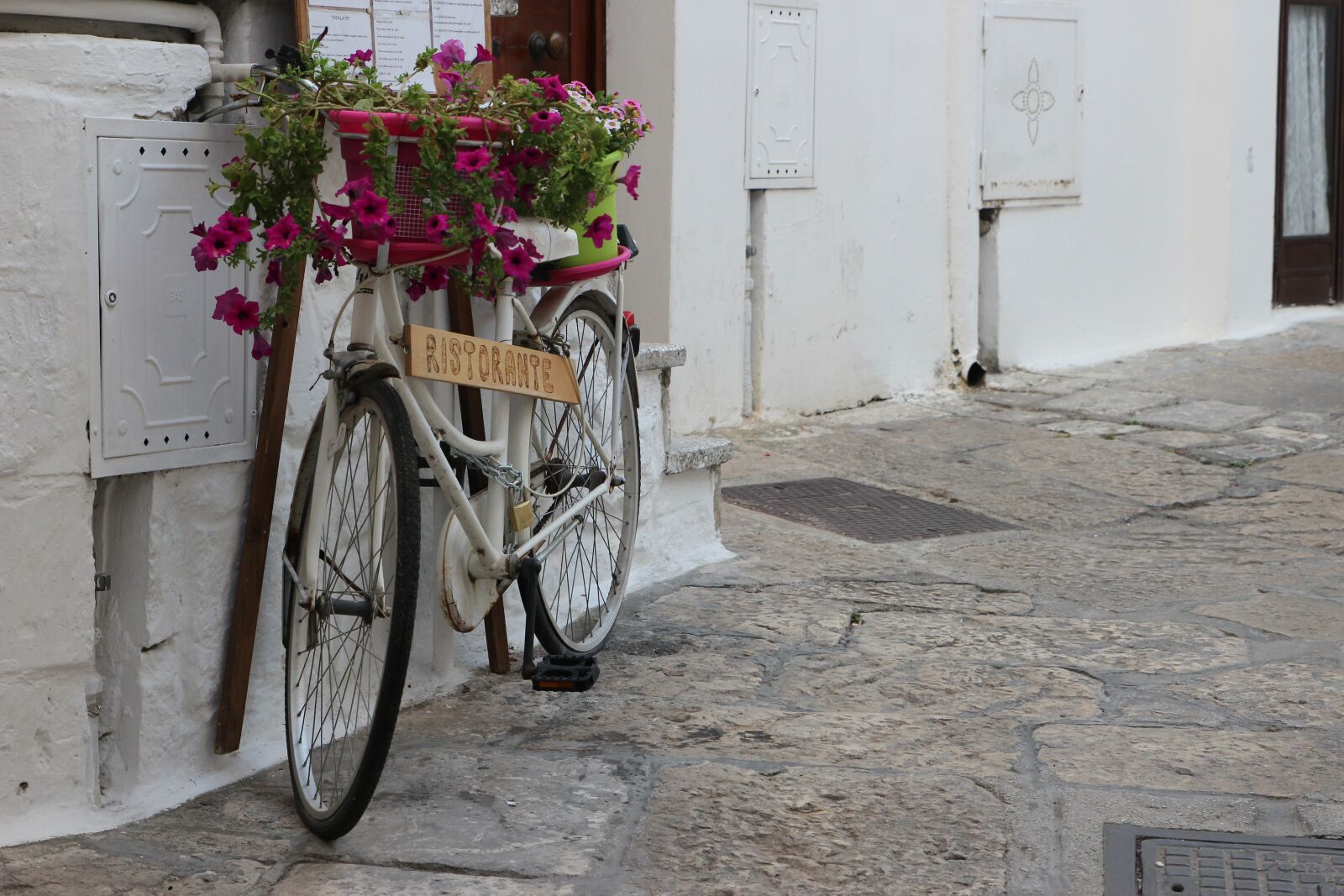 Canon EOS 600D (Rebel EOS T3i / EOS Kiss X5) sample photo. Bicycle, restaurant, flowers photography