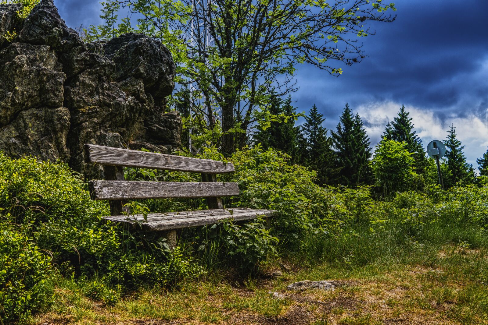 Sony a6300 + Sigma 30mm F2.8 EX DN sample photo. Bench, clouds, cloudy, forest photography
