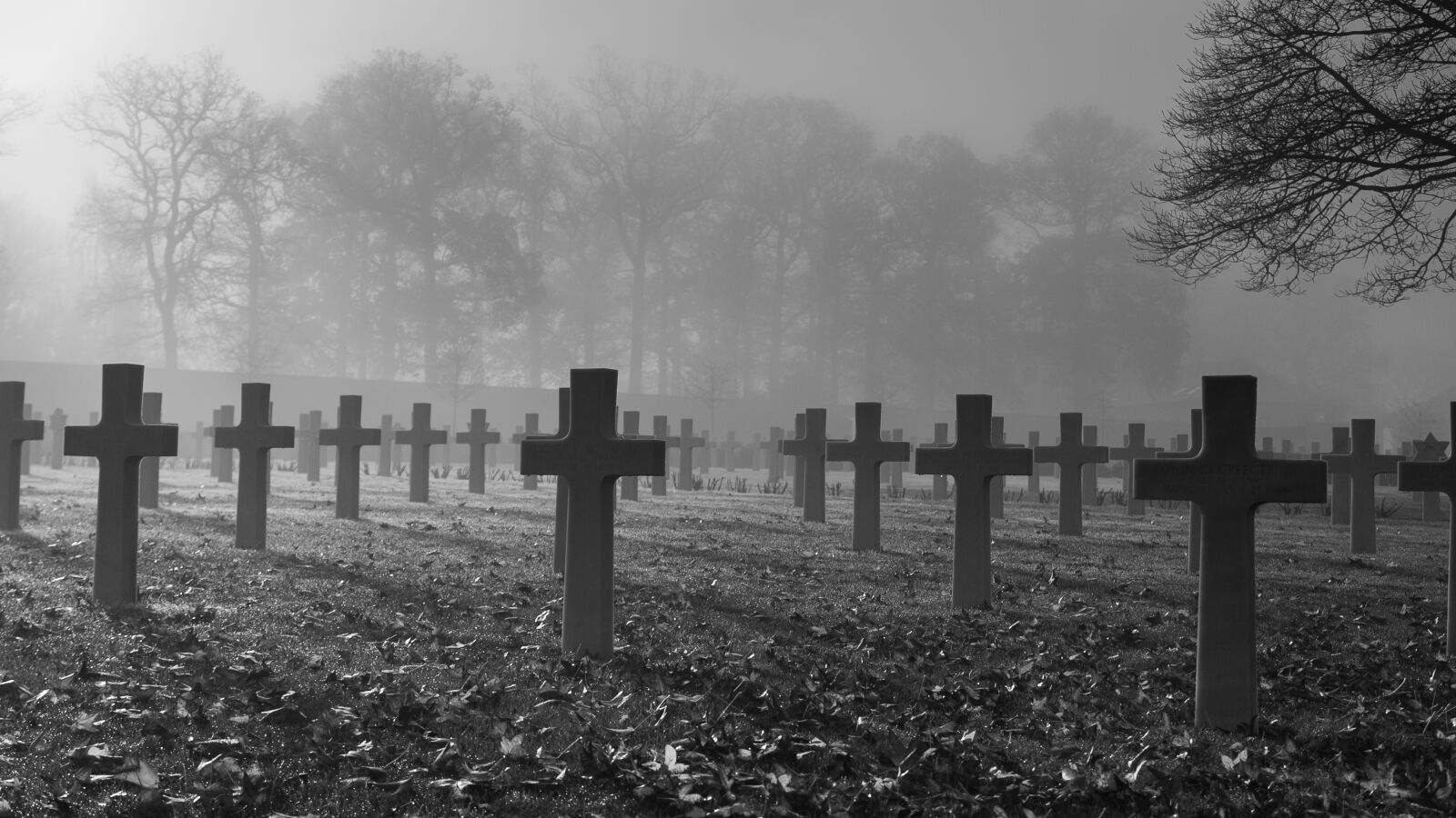 Canon EF 24-105mm F4L IS USM sample photo. War memorial, remembrance day photography