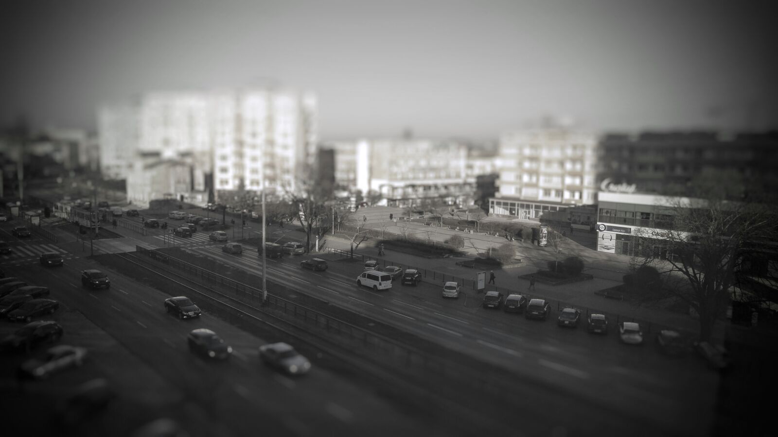 LG G4 sample photo