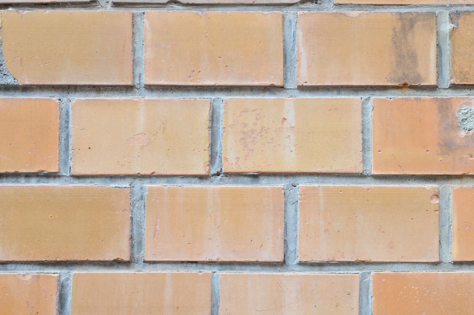Nikon D300 sample photo. Wall, bricks, red photography