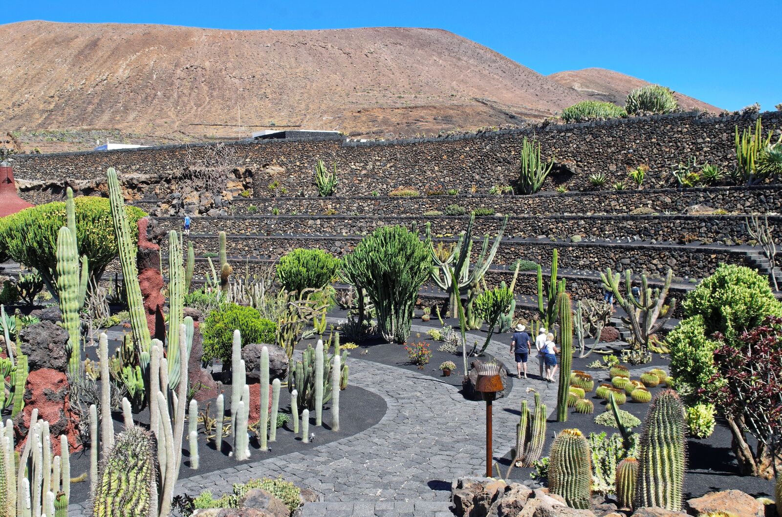 Pentax K-5 sample photo. Lanzarote, cactus garden, volcano photography