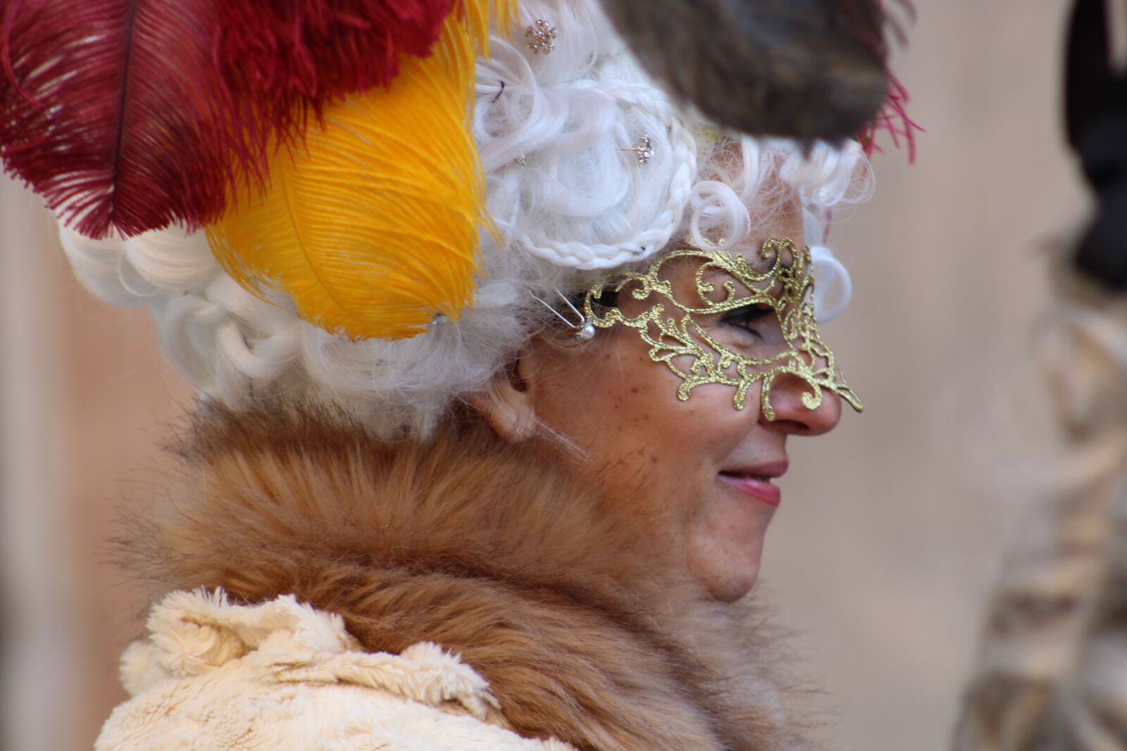 Canon EF75-300mm f/4-5.6 sample photo. Venice, carnival, mask photography