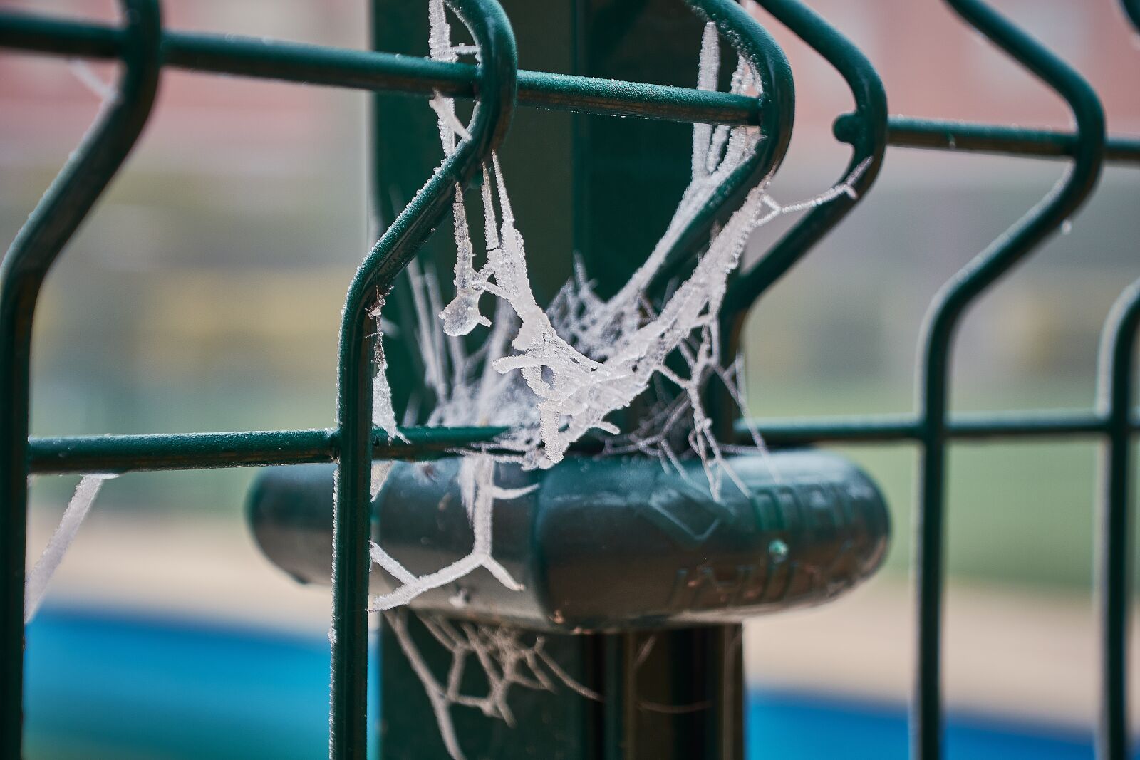Nikon D7200 sample photo. Spider webs, frozen, frost photography