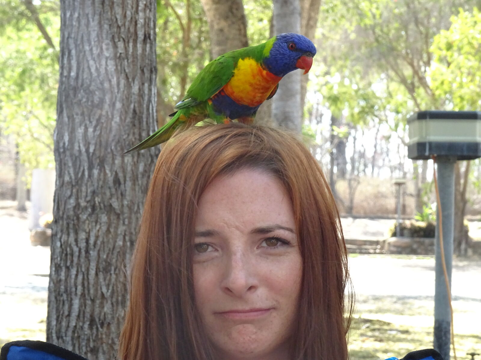 Sony DSC-HX60V sample photo. Bird, confused, girl, head photography