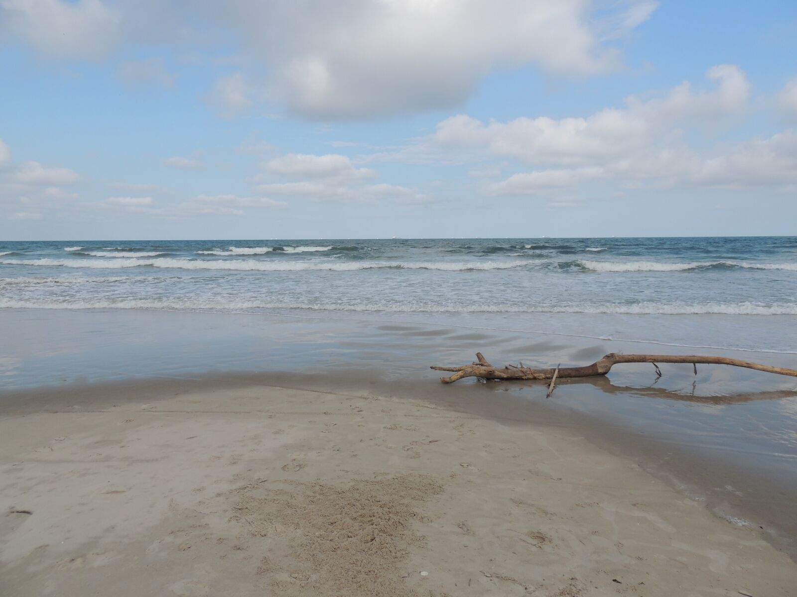 Nikon Coolpix P510 sample photo. Beach, driftwood, ocean photography