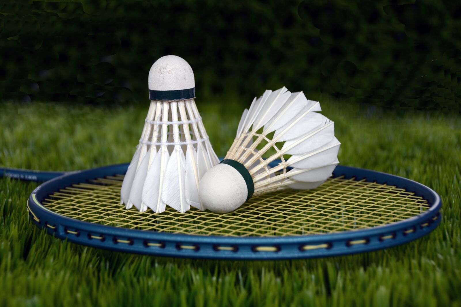Nikon D7100 sample photo. Badminton, shuttle, sport photography