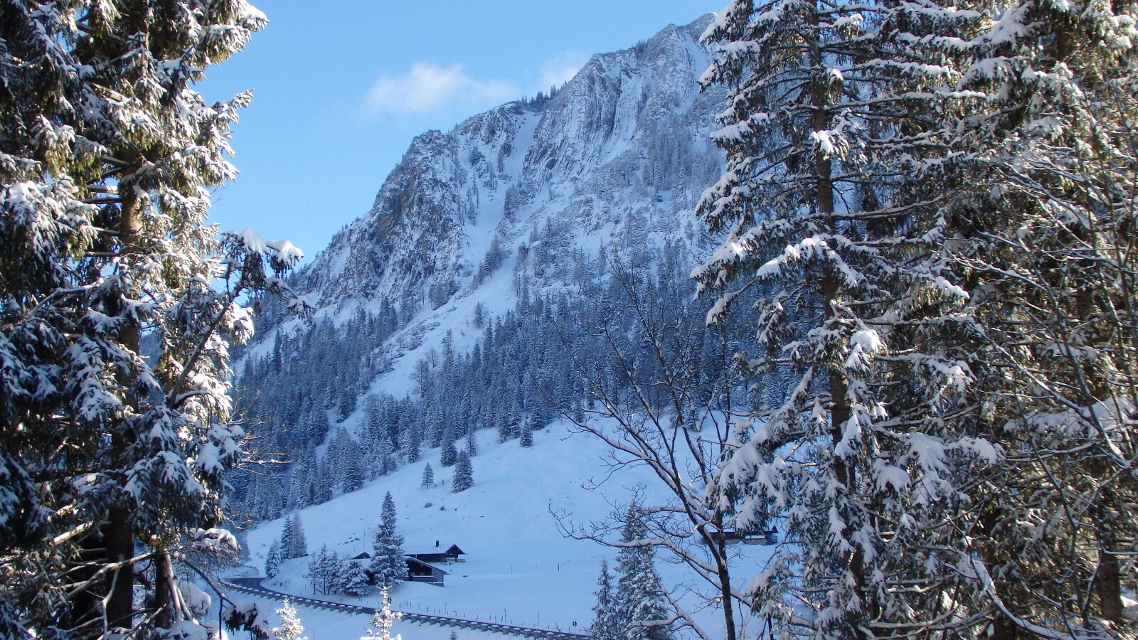Olympus SH-60 sample photo. Alps, bavaria, cold, frozen photography