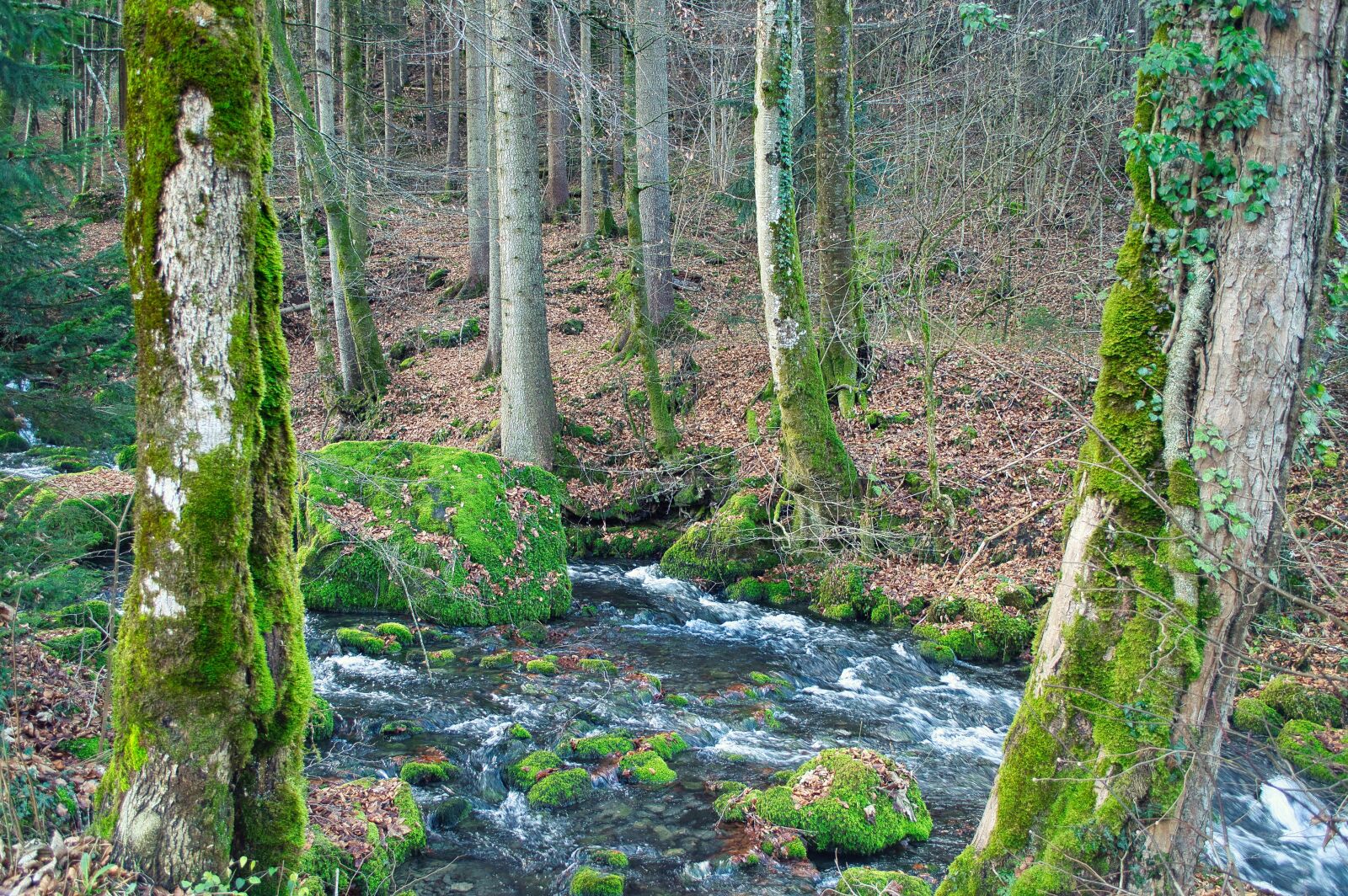 Nikon D3200 sample photo. Torrent, foron, landscape photography