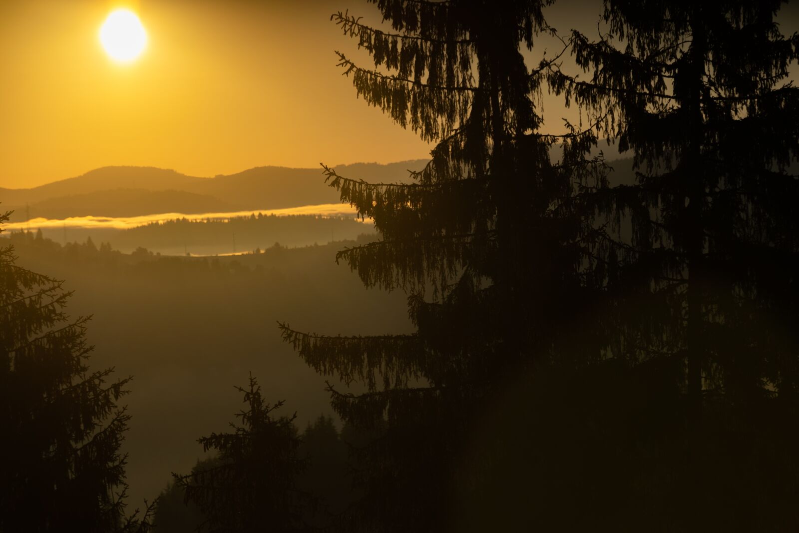 Nikon D3300 sample photo. Forest, trees, mountains photography