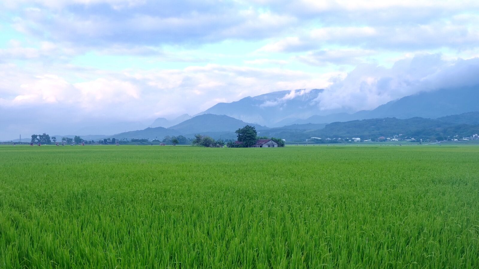 Fujifilm X-A1 sample photo. Brown avenue, taitung, taiwan photography