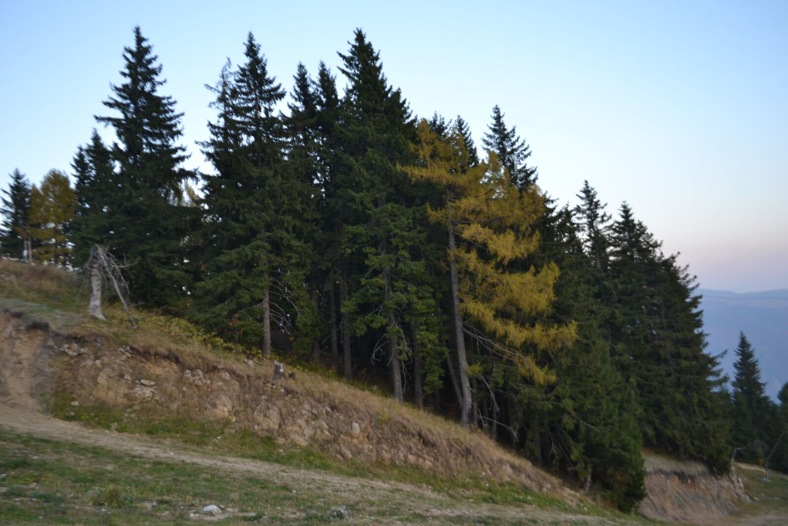 Nikon D3100 sample photo. Mountain, evening, landscape photography