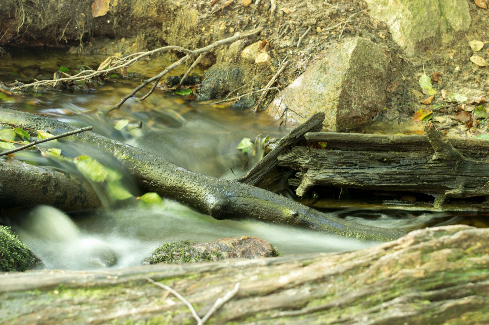 Nikon D3200 sample photo. Fluent, bach, nature photography