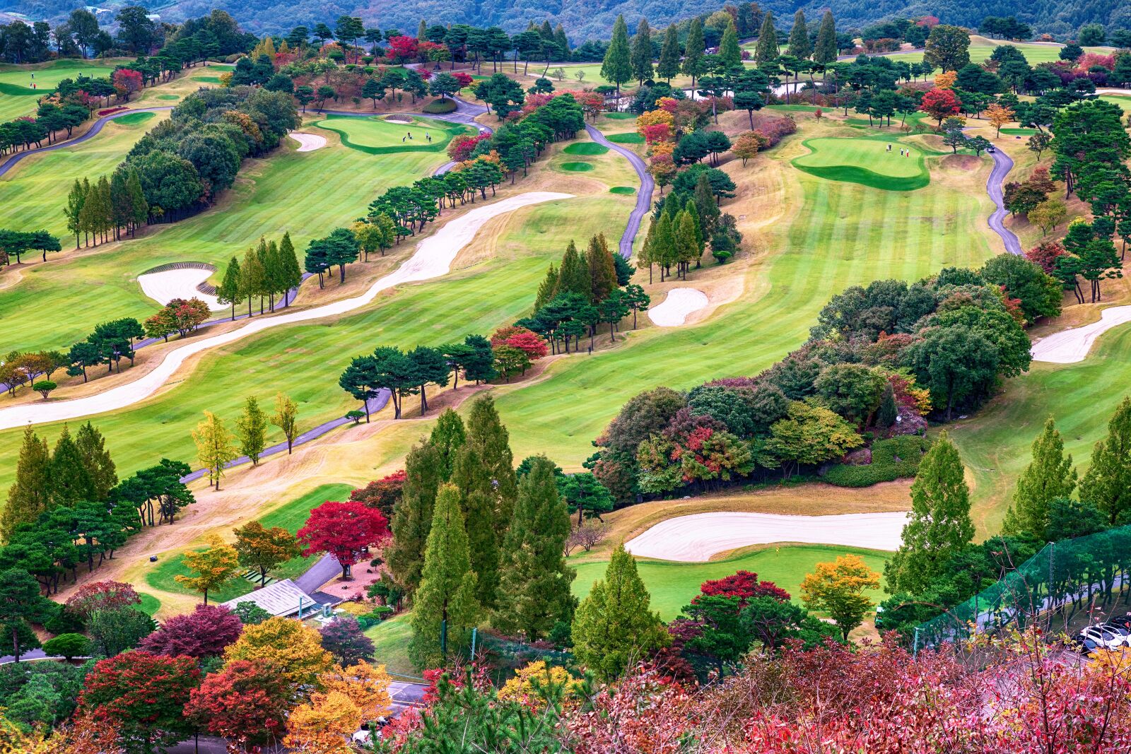 Tamron SP 24-70mm F2.8 Di VC USD sample photo. Autumn, golf, golf course photography