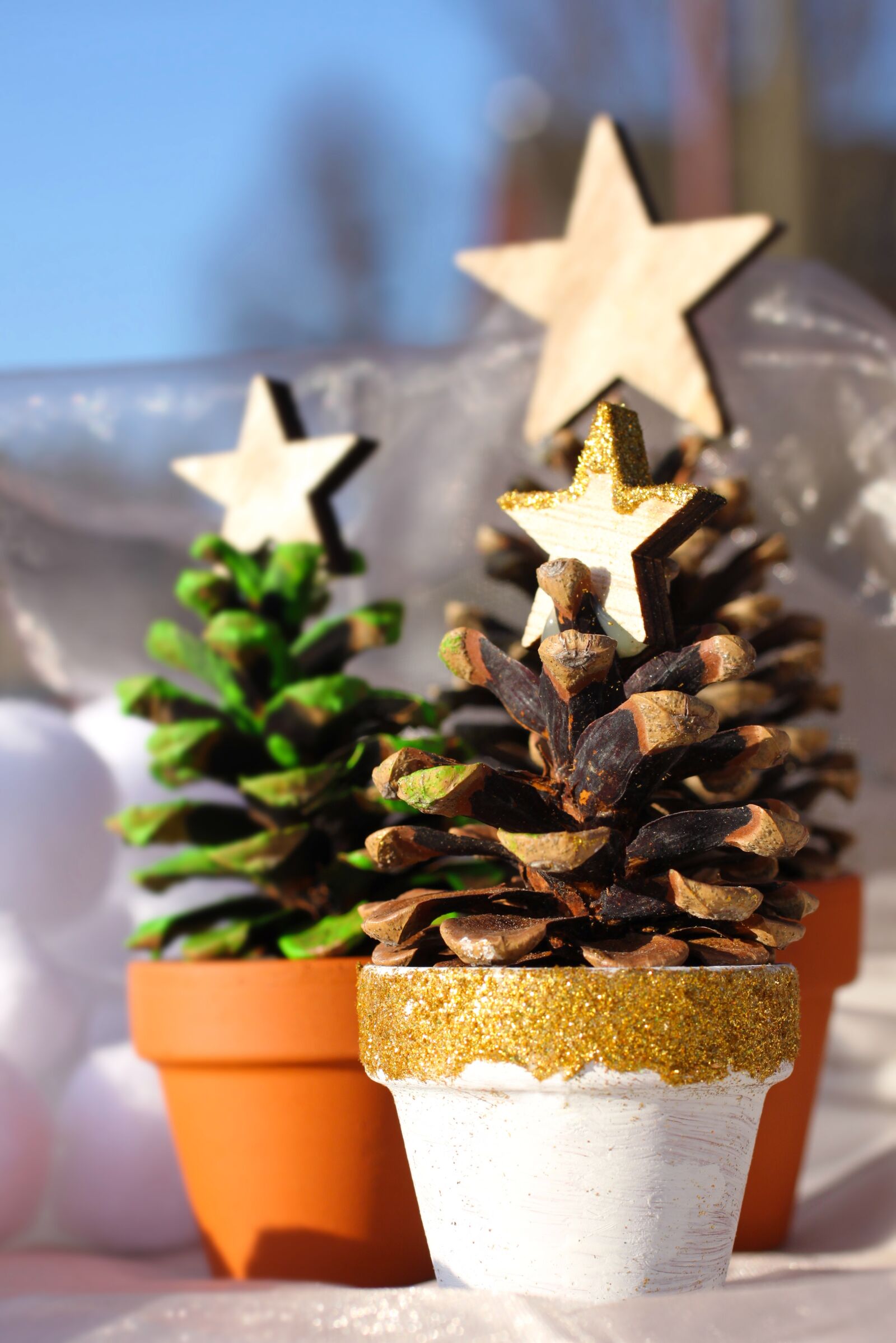 Canon EOS 500D (EOS Rebel T1i / EOS Kiss X3) sample photo. Fir tree, pine cones photography
