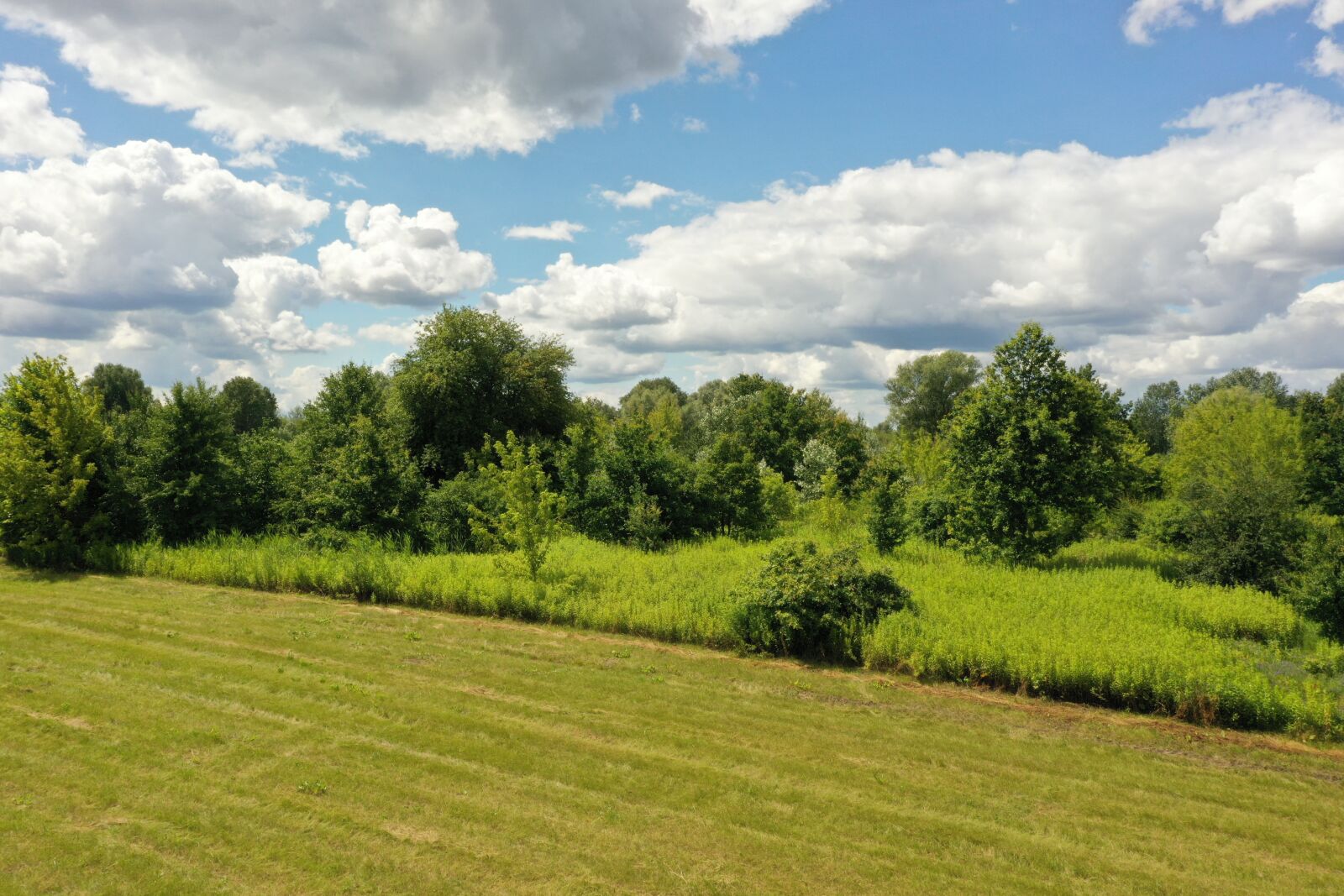 Hasselblad L1D-20c sample photo. Sky, green, nature photography