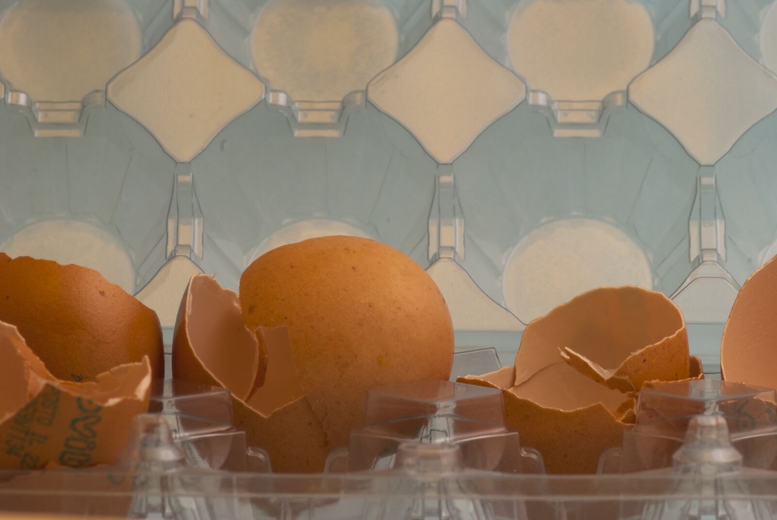 Nikon D80 sample photo. Egg, broken, kitchen photography
