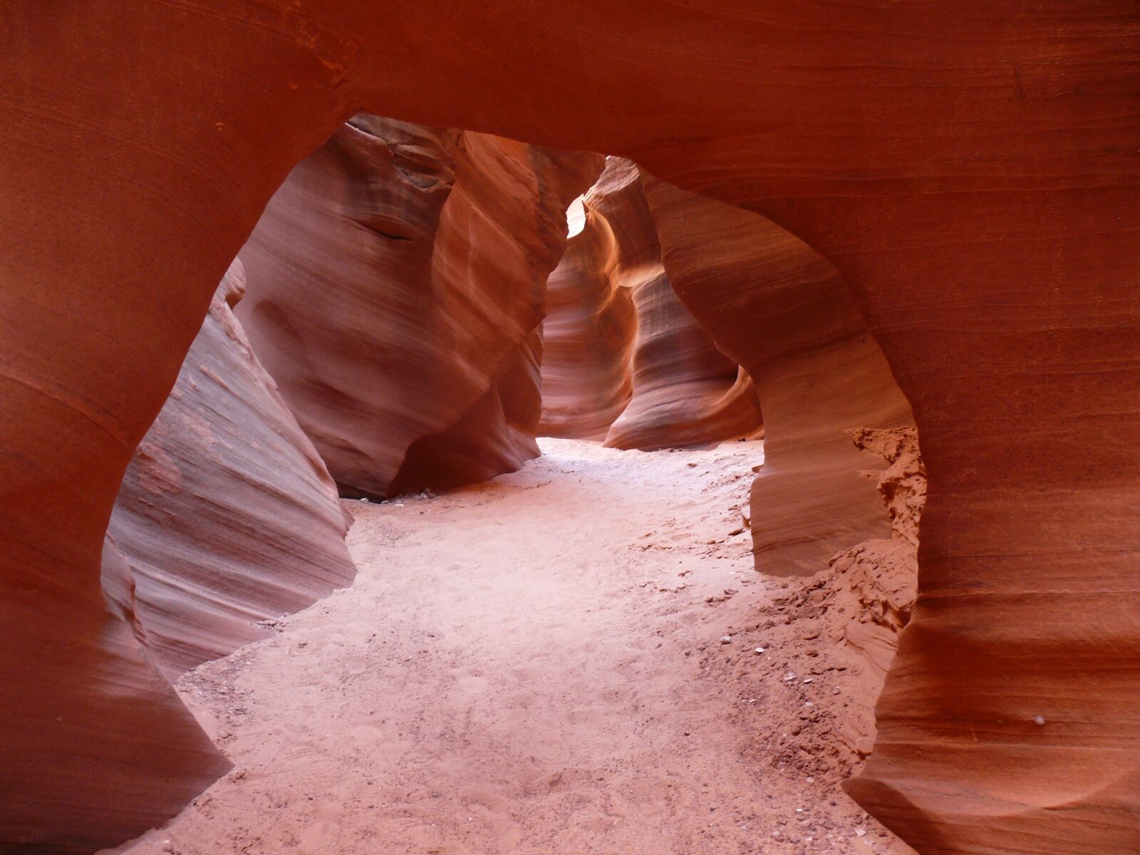 Panasonic DMC-FZ50 sample photo. Arizona, rattlesnake canyon, desert photography