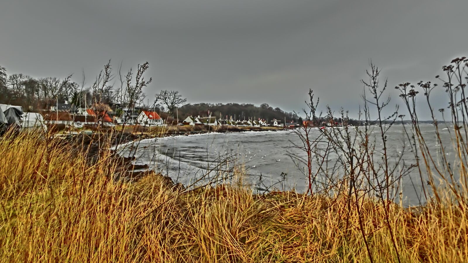 CASIO EX-ZR1000 sample photo. Denmark, baltic sea, scandinavia photography
