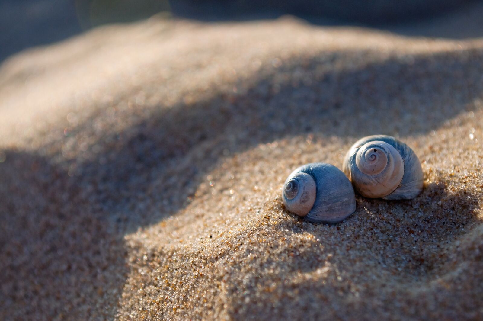 Nikon D90 sample photo. Sand, beach, the coast photography