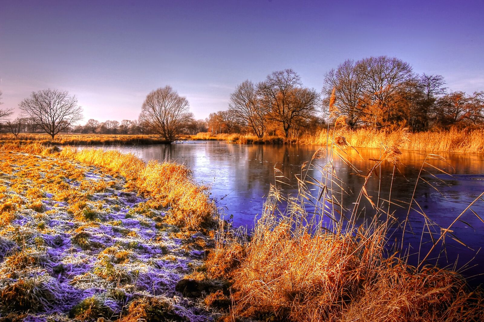 Nikon D40 sample photo. Sun, pond, water photography