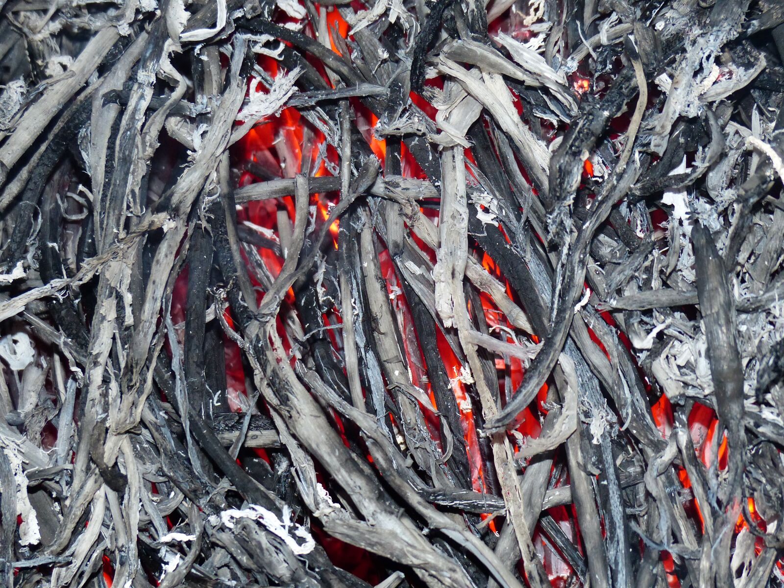 Panasonic Lumix DMC-FZ200 sample photo. Fire, ash, burn photography
