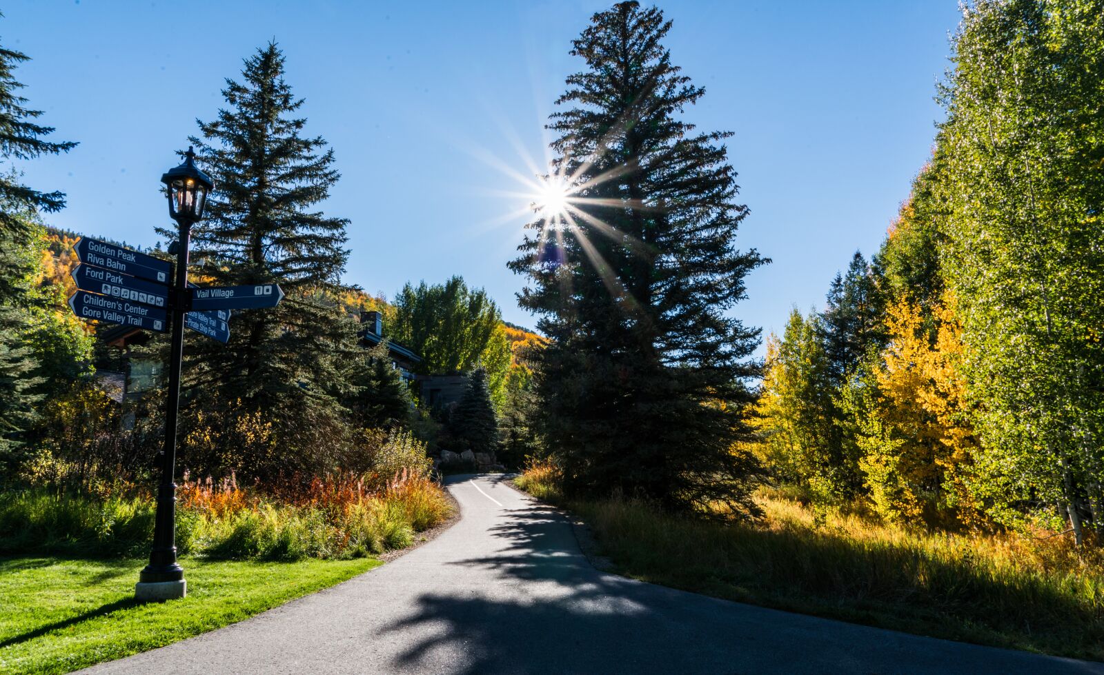 Sony a7R II + Sony FE 24-240mm F3.5-6.3 OSS sample photo. Foliage, vail, colorado photography