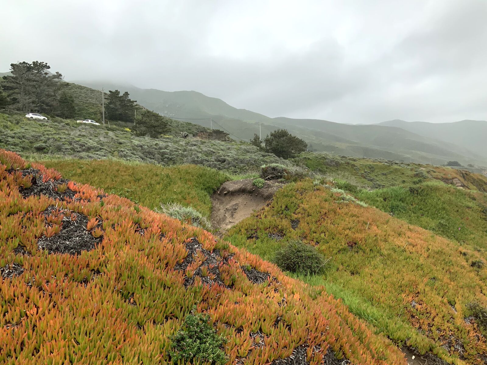 iPad Pro (11-inch) back camera 3mm f/1.8 sample photo. Flowers, landscape, mountain photography